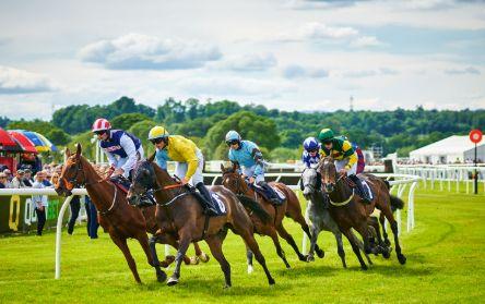 Win Hospitality for Four At Perth Racecourse